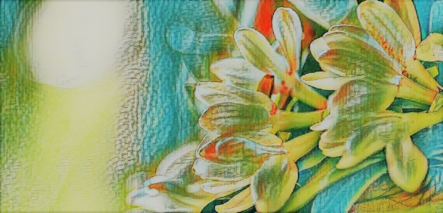 Tahiti: The legend of the Tiare flower